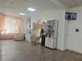 Студия красоты Жемчужина · 68 м² за 5 млн ₸ в Павлодаре — фото 10