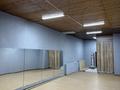 Фитнес и спорт, образование, кабинеты и рабочие места, студии · 250 м² за 90 000 ₸ в  — фото 19