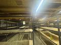 Офисы, склады · 250 м² за 1.5 млн 〒 в Алматы, Жетысуский р-н — фото 21