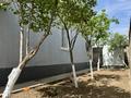 Часть дома · 5 комнат · 140 м² · , мкр Тассай, Тассай 1291 18 — Пересечение улицы Мактарал за 40 млн ₸ в Шымкенте, Каратауский р-н — фото 7