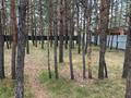 Жер телімі · 10 сотық, Луговая 13 30, бағасы: 23 млн ₸ в Кокшетау — фото 13