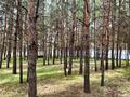 Жер телімі · 10 сотық, Луговая 13 30, бағасы: 23 млн ₸ в Кокшетау — фото 4