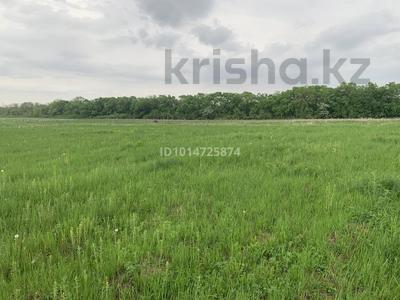 Участок · 26 соток, мкр Алатау (ИЯФ) за 20.5 млн ₸ в Алматы, Медеуский р-н
