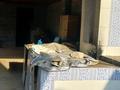 Жеке үй · 4 бөлме · 160 м² · 7 жүзд., Достык 7/2, бағасы: 32 млн ₸ в Аксае — фото 19