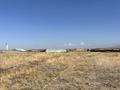 Промбаза · 3 га, Сата Ниязбекова 78 за 6 млн ₸ в Каргалы (п. Фабричный) — фото 8