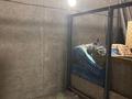 Свободное назначение, склады · 5.9 м² за 20 000 ₸ в Алматы, Медеуский р-н — фото 2