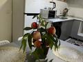 2-комнатная квартира · 42 м² · 7/9 этаж, мкр Нурсая, Сатпаев — Рядом Инфинити Молл, ТРК Атырау, Площадь за 2 500 ₸ — фото 3
