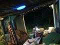 Дача · 3 комнаты · 40 м² · 11 сот., Деребасовская 4 за 4 млн ₸ в Сатпаев — фото 15