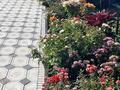 Отдельный дом · 5 комнат · 250 м² · 8 сот., мкр Алатау (ИЯФ) за 500 000 ₸ в Алматы, Медеуский р-н — фото 18