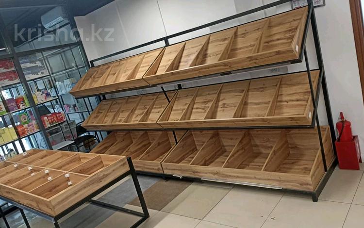 Еркін, қоғамдық тамақтану орны · 60 м², бағасы: 400 000 ₸ в Астане, Сарыарка р-н — фото 2