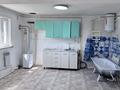 Отдельный дом · 1 комната · 50 м² · 100 сот., Еркимбаева за 4.2 млн ₸ в Аулиеколе — фото 7