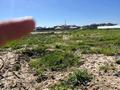 Участок · 10 соток, мкр Нуртас — Патеева за 40 млн ₸ в Шымкенте, Каратауский р-н — фото 4