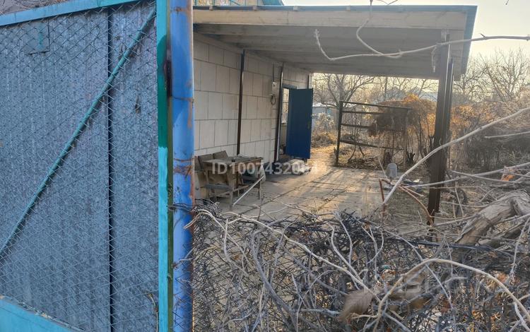 Отдельный дом · 3 комнаты · 50 м² · 8 сот., Алға 91 — Шолдала за 9 млн 〒 в Таразе — фото 2