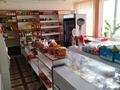 Отдельный дом · 11 комнат · 281 м² · 4 сот., улица Молочно товарная ферма Жанадауир 8А за 36.5 млн ₸ в  — фото 51