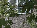 2-комнатная квартира · 48 м² · 2/5 этаж, мкр Новый Город 22 — Алиханова за 27.5 млн ₸ в Караганде, Казыбек би р-н — фото 10