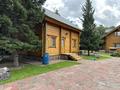 Отдельный дом · 10 комнат · 650 м² · 81 сот., Востоный правый 1440 — Дачный массив восточный правый, семь тополей! за 450 млн ₸ в Семее — фото 14