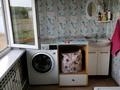 Отдельный дом · 3 комнаты · 76.2 м² · 10 сот., Кожаберген за 15 млн ₸ в Бишкуле (Бесколь) — фото 22