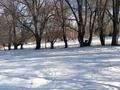 Жер телімі · 150 сотық, Шамалган, бағасы: ~ 70.5 млн ₸ — фото 13