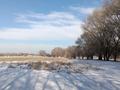 Жер телімі · 150 сотық, Шамалган, бағасы: ~ 70.5 млн ₸ — фото 2