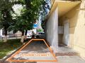 Еркін, дүкендер мен бутиктер, қоғамдық тамақтану орны · 294.6 м², бағасы: 2.2 млн ₸ в Алматы, Алмалинский р-н — фото 7