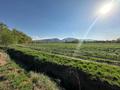 Промбаза · 3 га, мкр Мадениет 12 за 550 млн ₸ в Алматы, Алатауский р-н