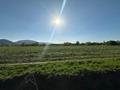 Промбаза · 3 га, мкр Мадениет 12 за 550 млн ₸ в Алматы, Алатауский р-н — фото 2