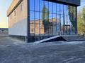 Дүкендер мен бутиктер · 500 м², бағасы: 250 млн ₸ в Шымкенте, Абайский р-н — фото 2