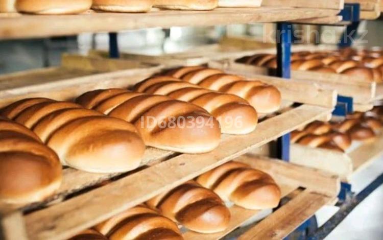 Действующий бизнес пекарьня - магазин, 500 м² за 85 млн 〒 в Мангистауской обл. — фото 2