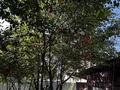 Отдельный дом · 4 комнаты · 160 м² · 8 сот., Омиртай омирбеков 11 — Мкр.Алтын ауыл за 59.5 млн ₸ в Каскелене — фото 62