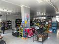 Магазины и бутики • 209.9 м² за 125 млн 〒 в Талдыкоргане — фото 4