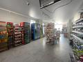 Магазины и бутики • 209.9 м² за 125 млн 〒 в Талдыкоргане — фото 5