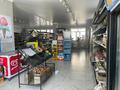 Магазины и бутики • 209.9 м² за 125 млн 〒 в Талдыкоргане — фото 7