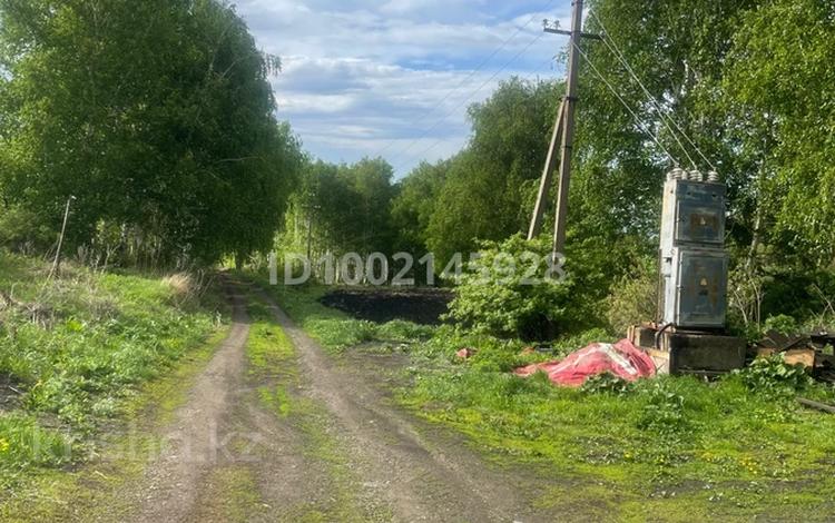 Жеке үй · 8 бөлме · 200 м² · 300 сот., Высоковольтная — Лесхоз, бағасы: 30 млн ₸ в Усть-Каменогорске, Ульбинский — фото 2