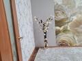 2-комнатная квартира · 45 м² · 4/5 этаж, Абая 117/1 за 17 млн ₸ в Уральске — фото 8