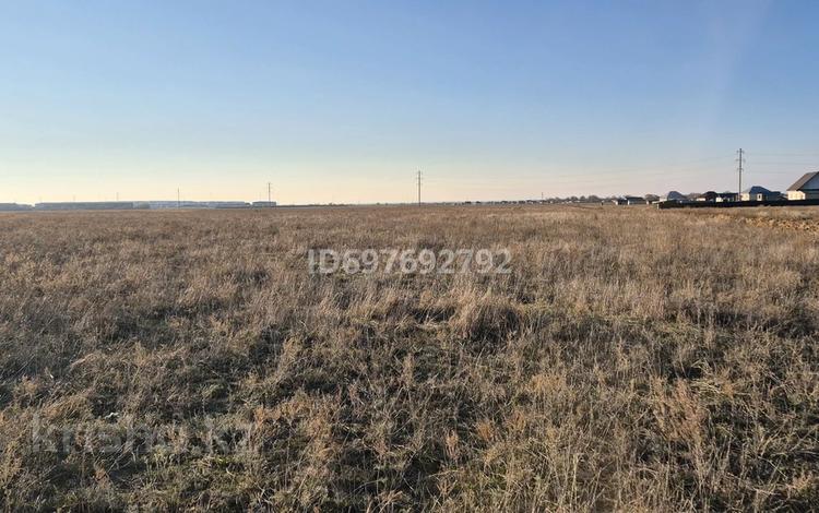 Участок · 40 соток, Даулет, 8 марта 10 за 8 млн ₸ в Алатау — фото 5