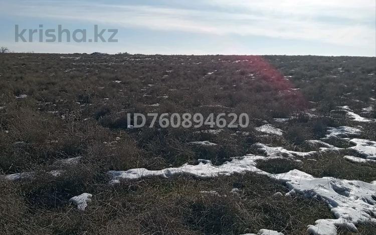 Жер телімі · 8 сотық, мкр Бозарык, бағасы: 5 млн ₸ в Шымкенте, Абайский р-н — фото 3