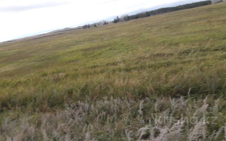 Участок · 0.2 га, Село Молбаза, улица Жастар участок 15Г за ~ 18.4 млн ₸ в Бурабае — фото 2
