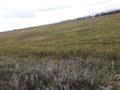 Участок · 0.2 га, Село Молбаза, улица Жастар участок 15Г за ~ 18.4 млн ₸ в Бурабае — фото 4