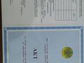 Участок · 10 соток, Нету 7 — Трасса за 2 млн 〒 в Шенгельды — фото 3