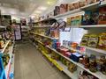 Магазины и бутики • 158 м² за 63 млн 〒 в Астане, Алматы р-н — фото 4