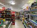Магазины и бутики • 158 м² за 63 млн 〒 в Астане, Алматы р-н — фото 6