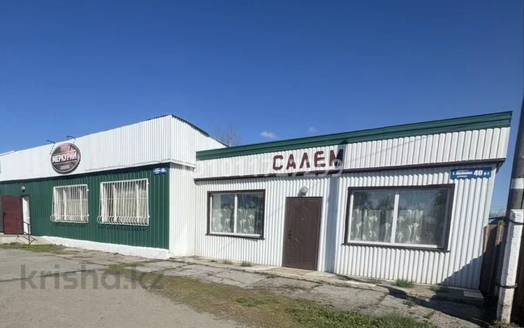 Магазины и бутики · 220 м² за 47 млн ₸ в Сергеевке — фото 2