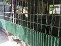 Часть дома · 3 комнаты · 74 м² · 18 сот., Асабаева 25/1 — За линией, п. Турксиб за 16.5 млн ₸ в Таразе — фото 7