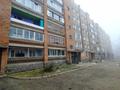 3-комнатная квартира, 60 м², 6/6 этаж, Бажова 542 за 16.5 млн 〒 в Усть-Каменогорске — фото 18