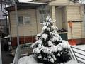 Отдельный дом · 2 комнаты · 50 м² · 6 сот., Здоровье 42 за 150 000 ₸ в Кыргауылдах — фото 16