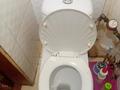 2-бөлмелі пәтер · 40.1 м² · 1/2 қабат, тепличный комбинат 9, бағасы: 10.5 млн ₸ в Костанае — фото 11