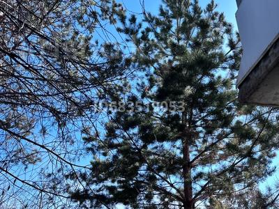 Отдельный дом · 5 комнат · 306 м² · 10 сот., Алии Молдагуловой 125А за 90 млн 〒 в Экибастузе