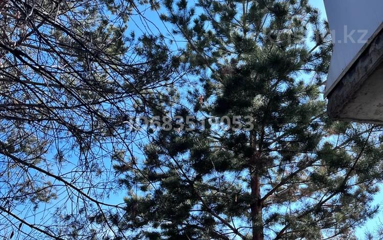 Отдельный дом · 5 комнат · 306 м² · 10 сот., Алии Молдагуловой 125А за 90 млн 〒 в Экибастузе — фото 3