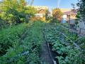 Жеке үй · 3 бөлме · 70 м² · 4.5 жүзд., К. Маркса 10, бағасы: 33.5 млн ₸ в Костанае — фото 25