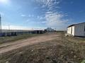 Отдельный дом · 6 комнат · 125 м² · 20 сот., Байтерек 6 за 35 млн ₸ в Уштобе — фото 2